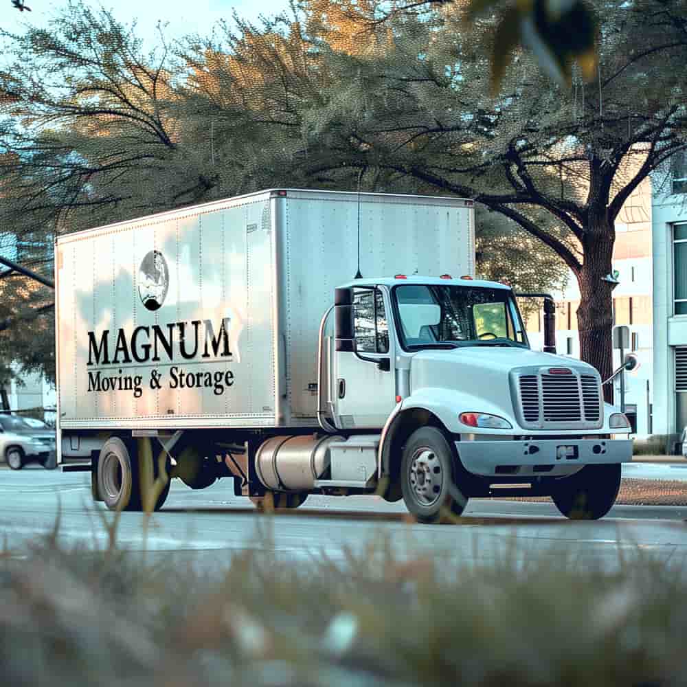Magnum Moving & Storage logo
