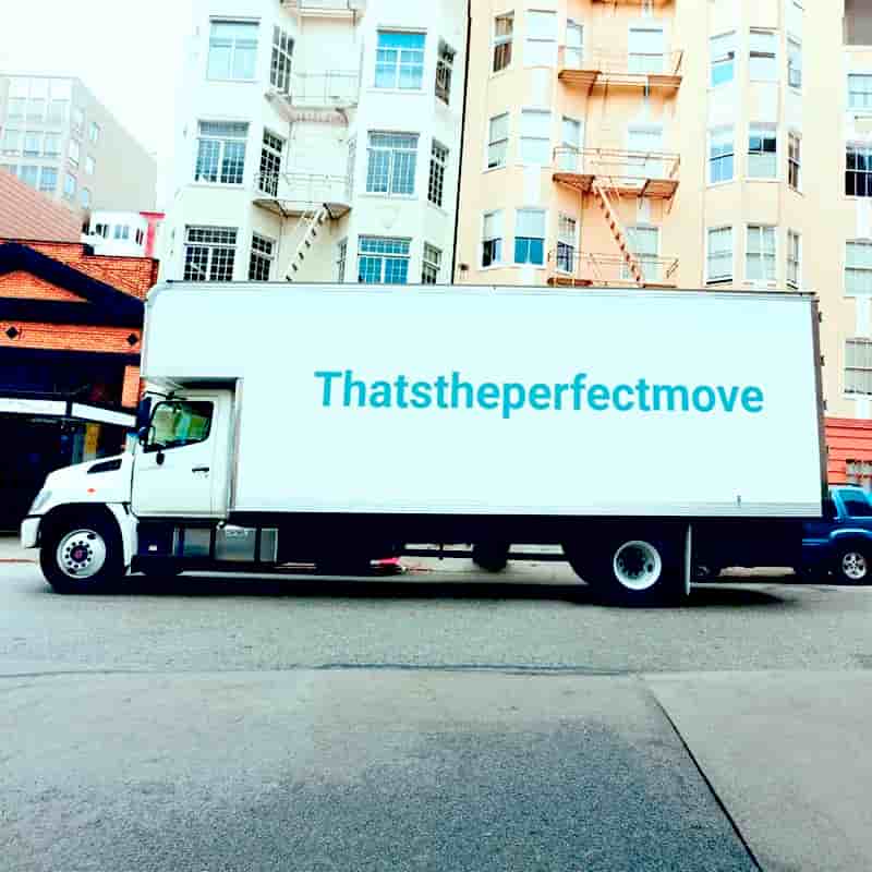 Thats The Perfect Move logo