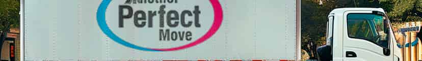 Another Perfect Move logo