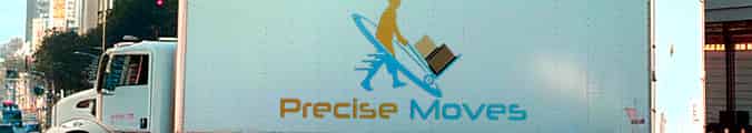 Precise Moves logo