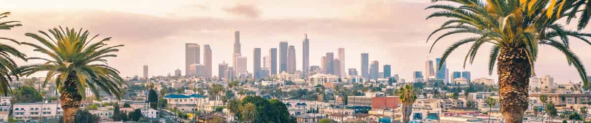 Los Angeles moving services