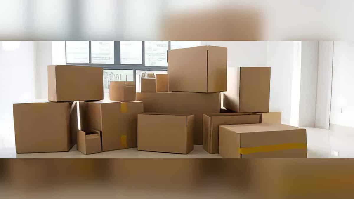 Macy Movers - Image 5