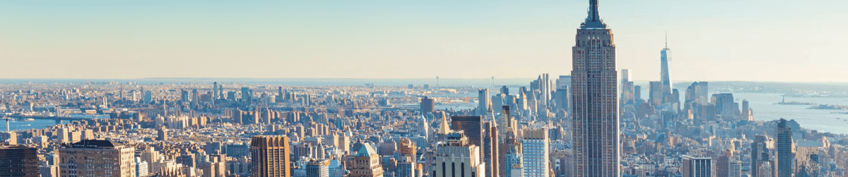 New York City moving services