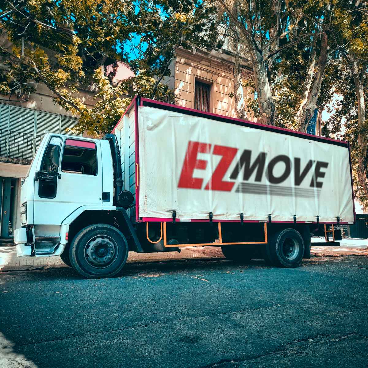 E Z Move logo (EZM)