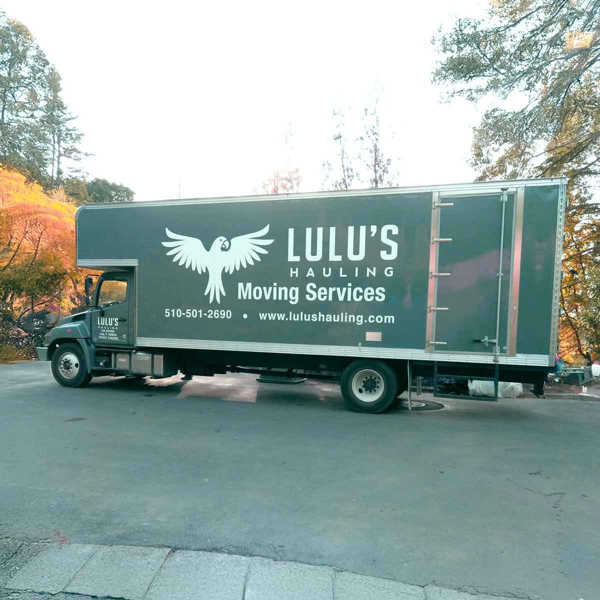 Lulu's Hauling Professional Moving Services