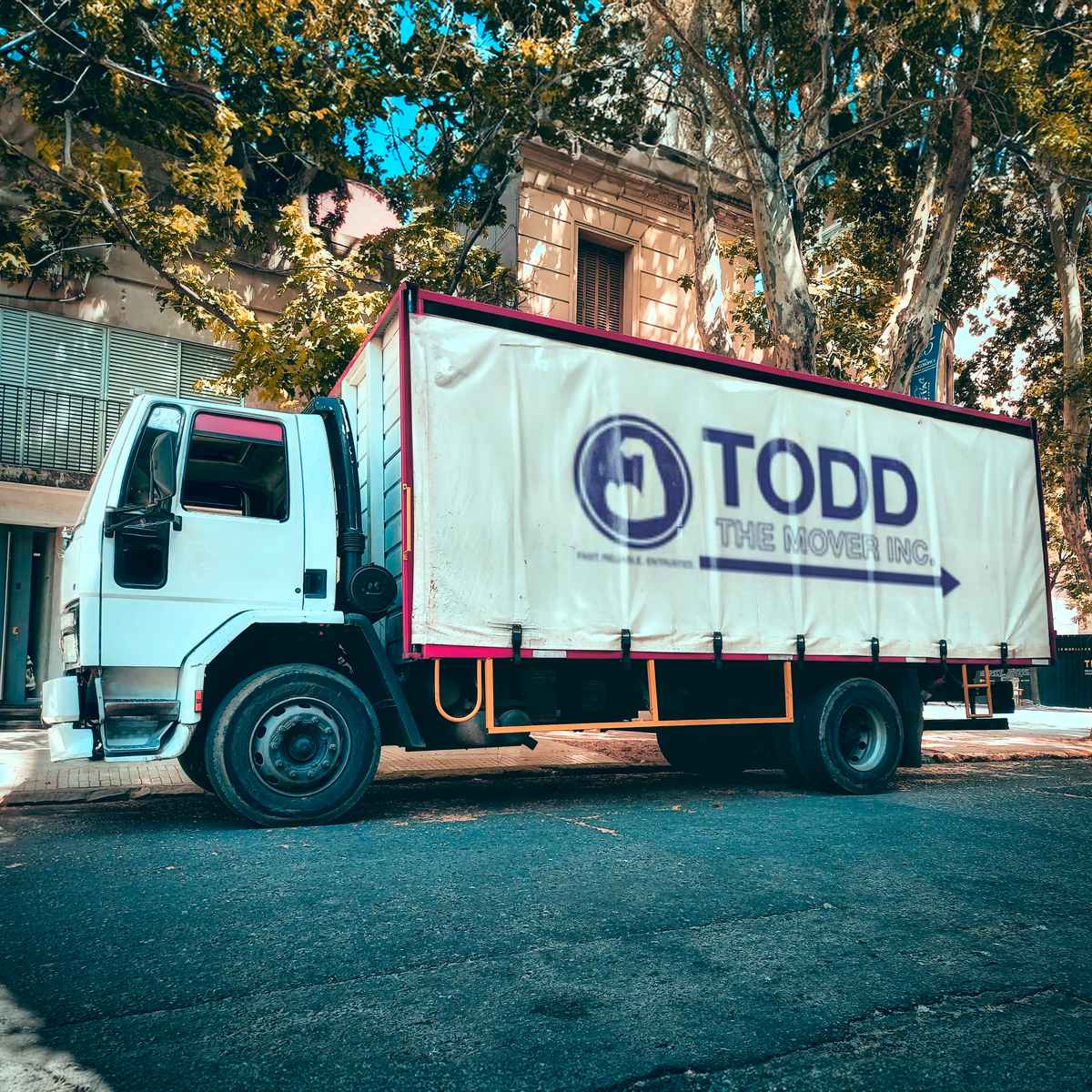 Todd The Mover logo (TTM)
