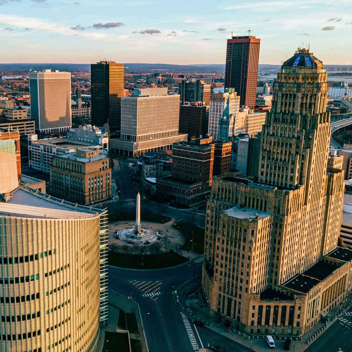 Buffalo image