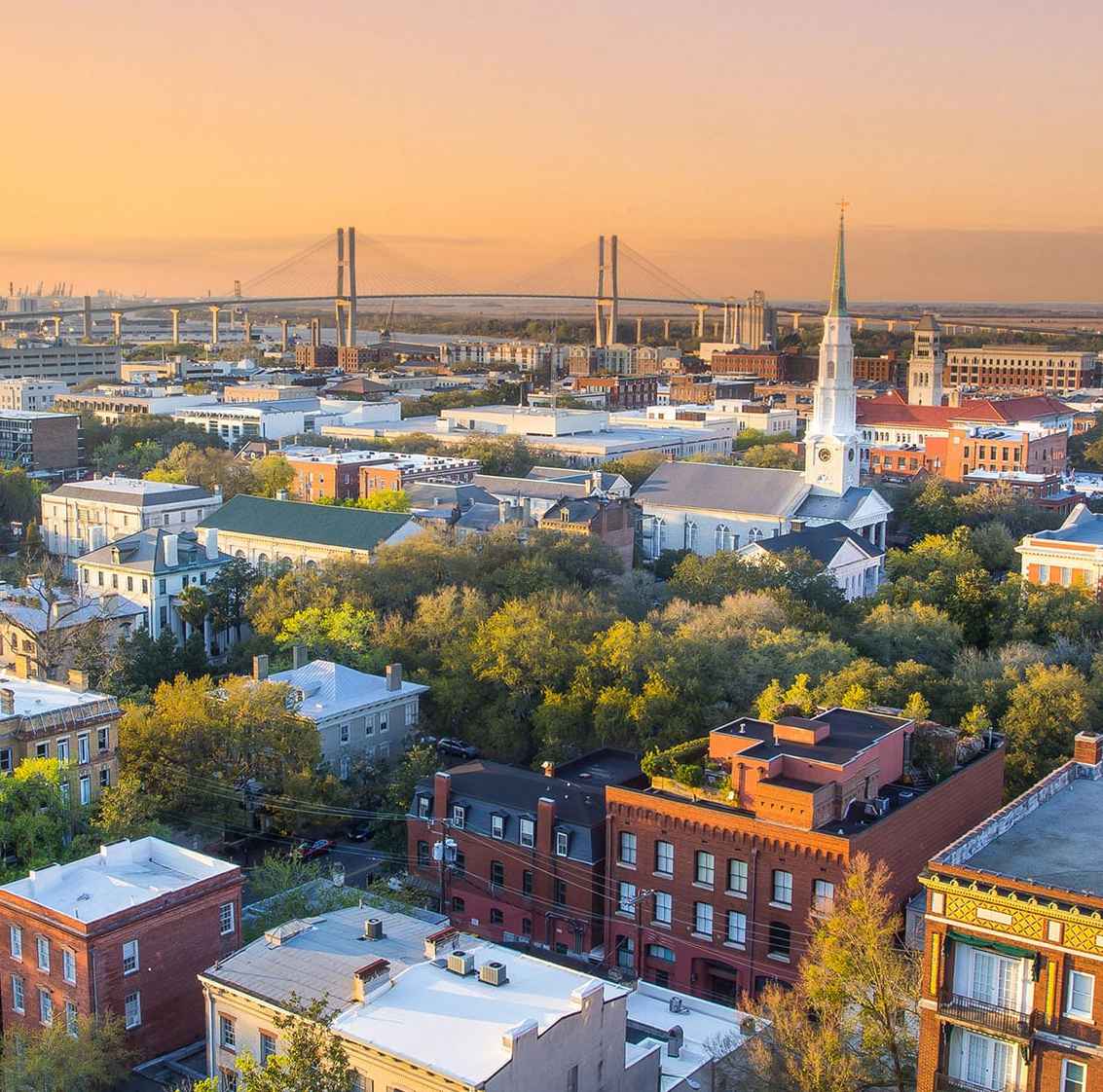 Savannah image