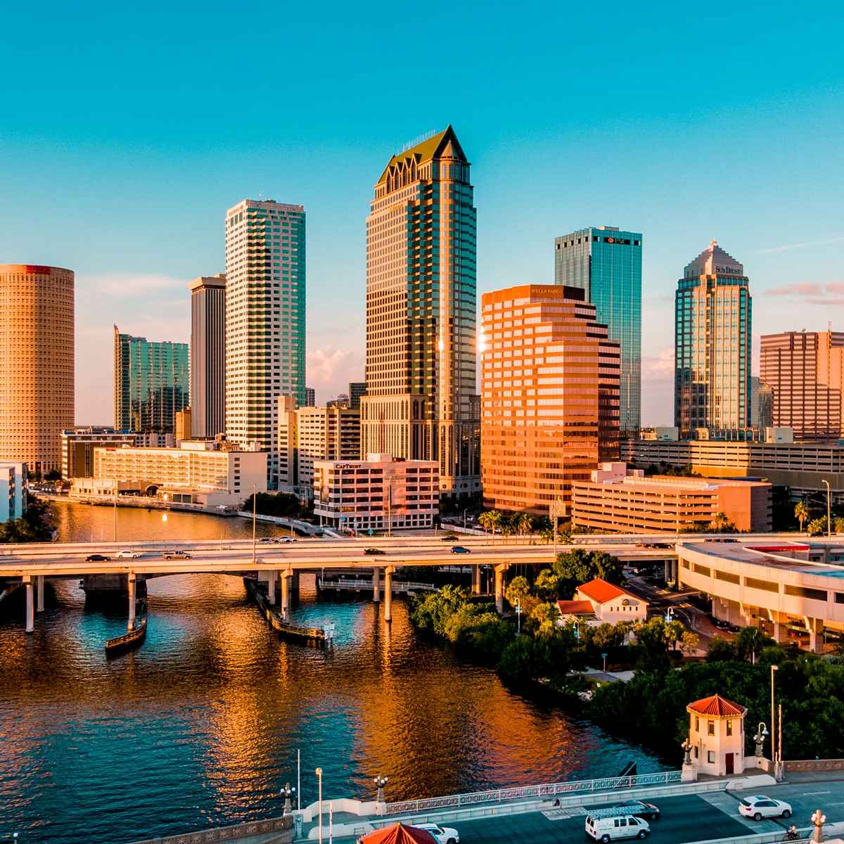 Tampa image