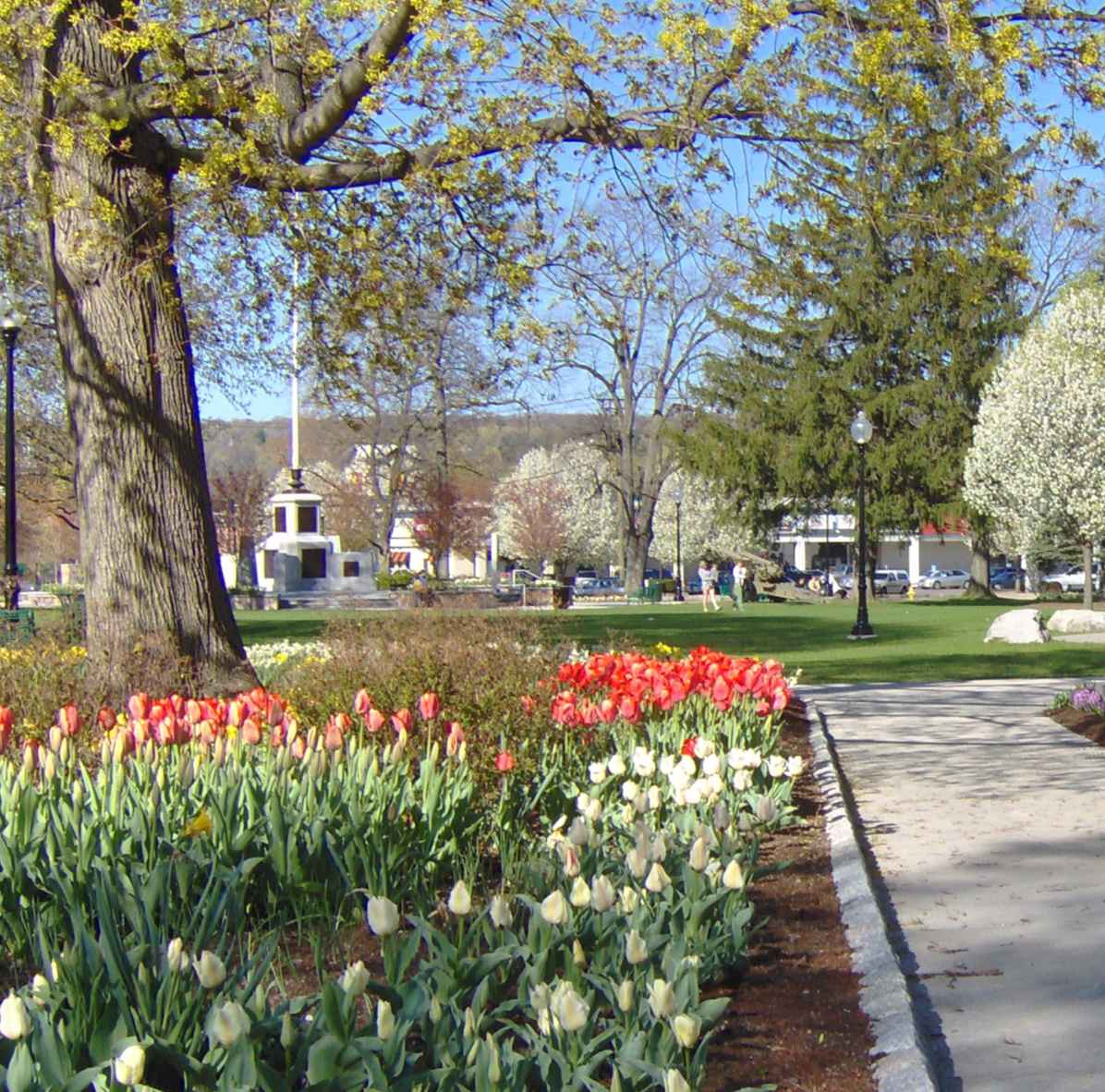 Torrington image