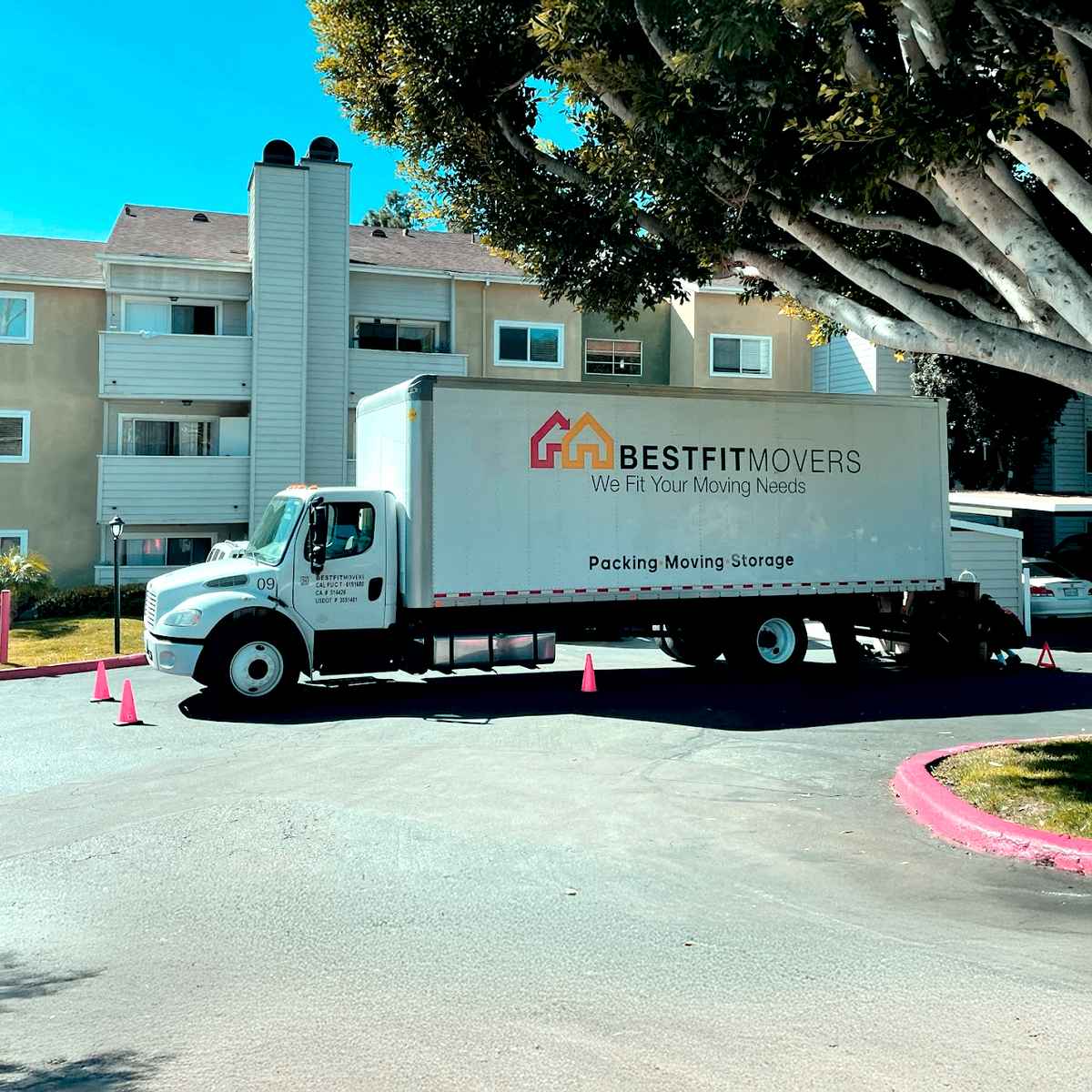 Best Fit Movers logo