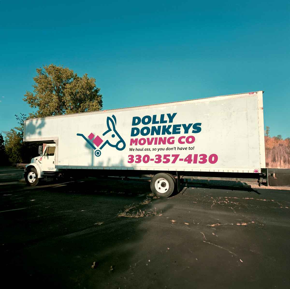 DOLLY DONKEYS MOVING CO logo