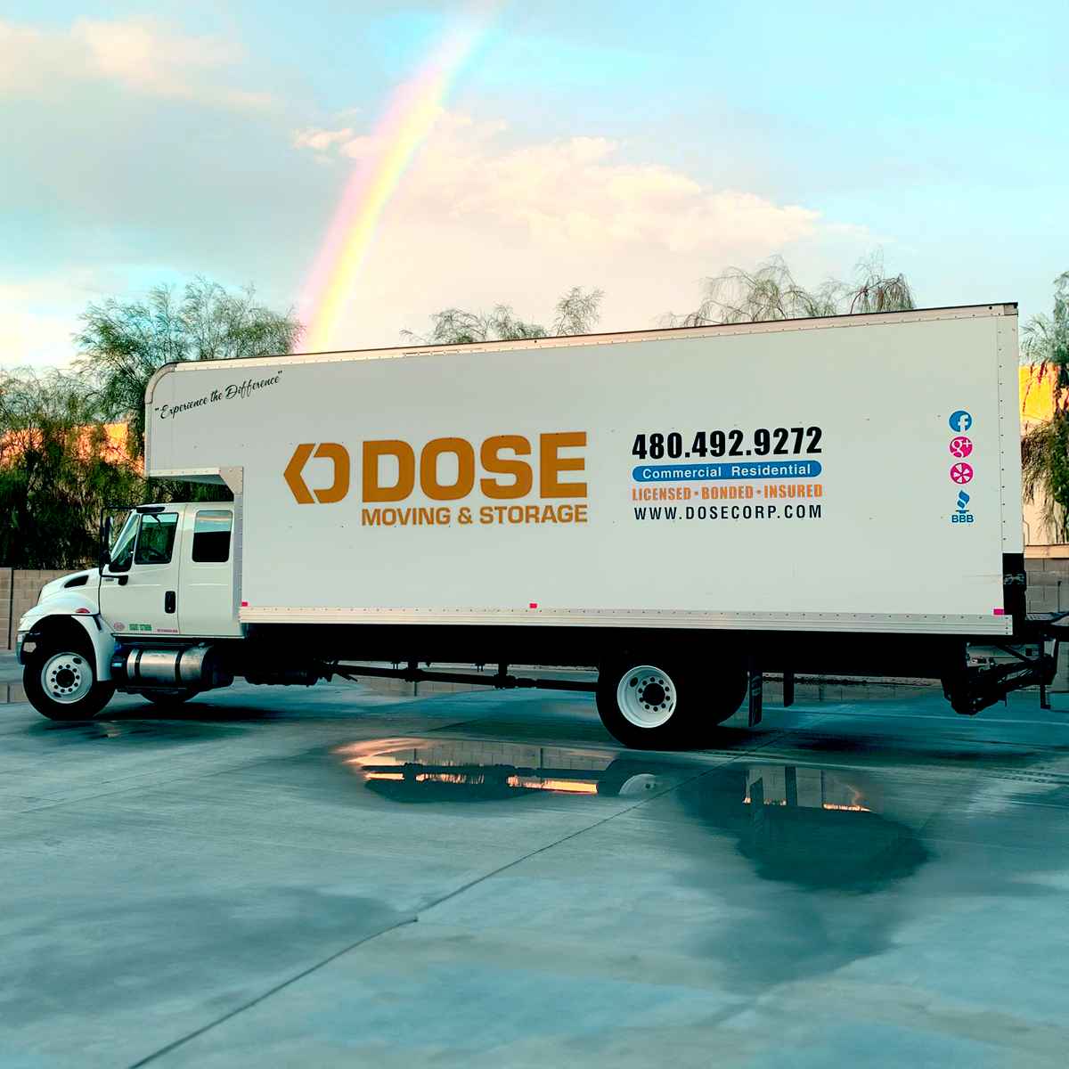 Dose Moving and Storage logo