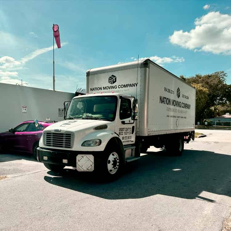 Nation State Moving logo