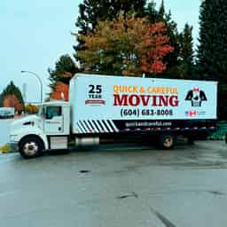 Quick and Careful Moving avatar