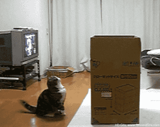 Complete Room-by-Room Packing Checklist