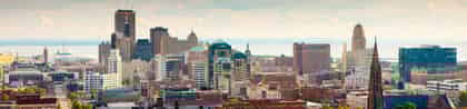 Buffalo image